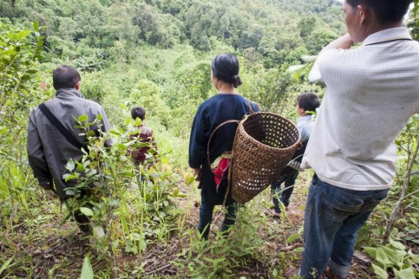 Photo de personnes dans la jungle au Laos portant des paniers