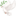 🕊️