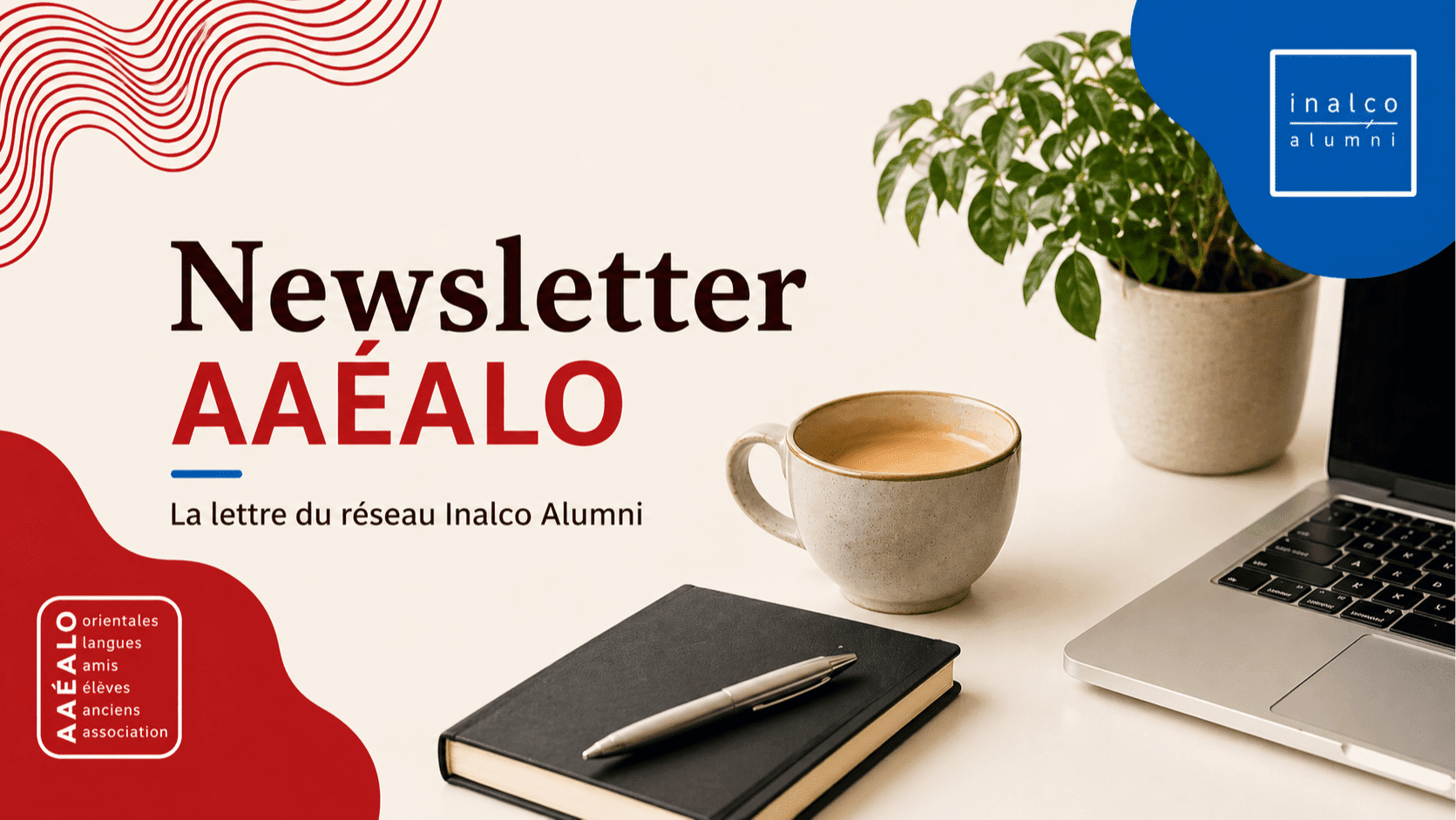 Newsletter AAÉALO - Mai 2026