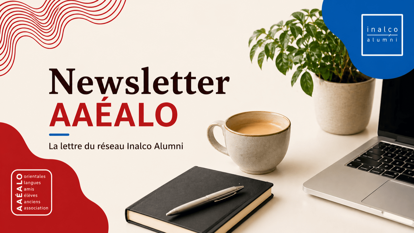 Newsletter AAÉALO - Mars 2026