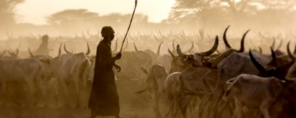 Une encyclopédie des littératures orales africaines